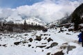 Mountain and tree of Manali Himachal Pradesh Town in India